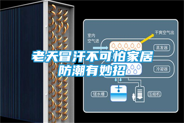 老天冒汗不可怕家居防潮有妙招