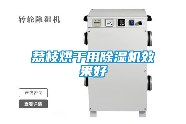 荔枝烘干用除湿机效果好