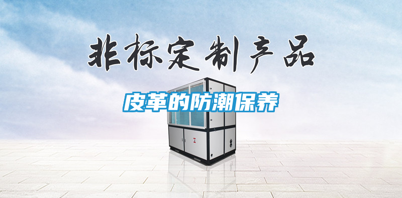 皮革的防潮保养