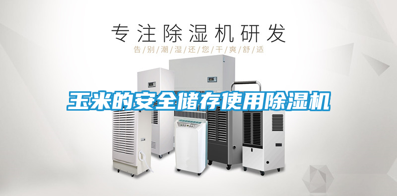 玉米的安全储存使用除湿机