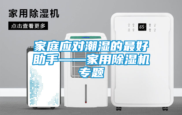 家庭应对潮湿的最好助手——家用除湿机专题