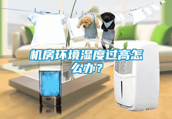 机房环境湿度过高怎么办？