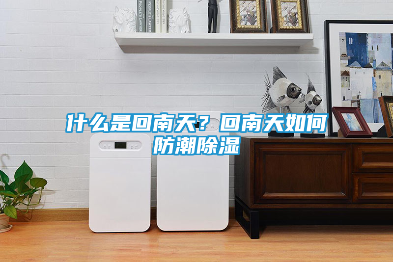 什么是回南天？回南天如何防潮除湿