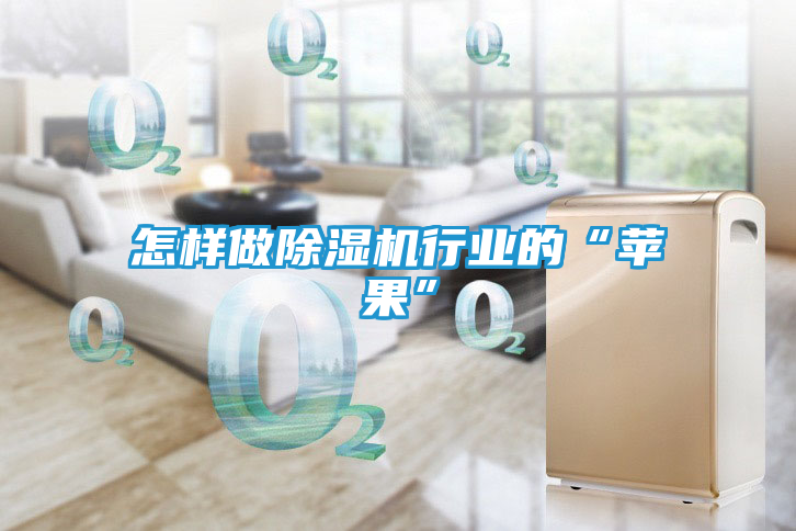 怎样做除湿机行业的“苹果”
