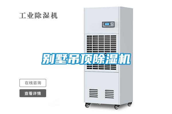 别墅吊顶除湿机