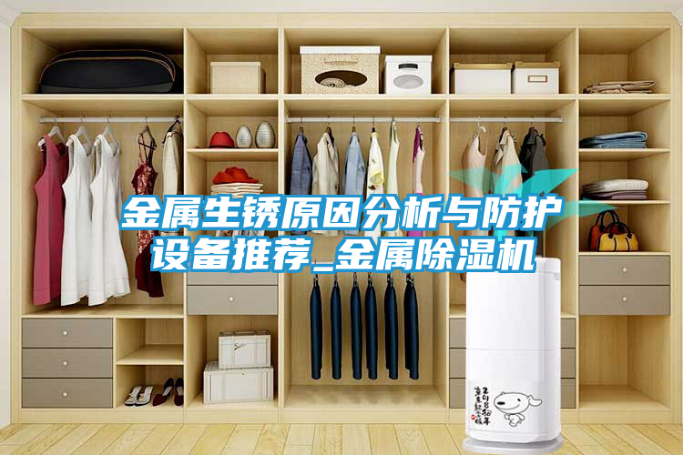 金属生锈原因分析与防护设备推荐_金属除湿机