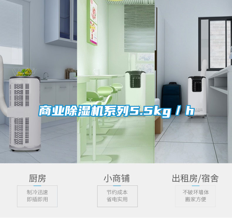 商业除湿机系列5.5kg／h