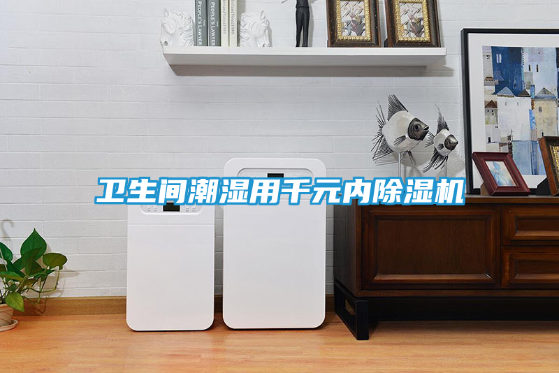 卫生间潮湿用千元内除湿机