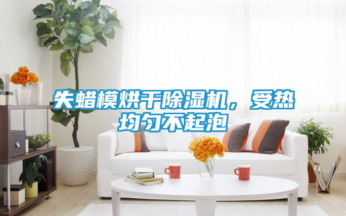 失蜡模烘干除湿机，受热均匀不起泡