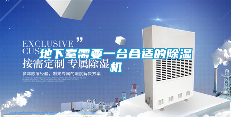 地下室需要一台合适的除湿机