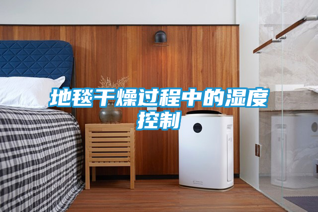 地毯干燥过程中的湿度控制