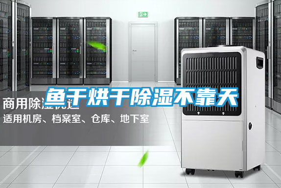 鱼干烘干除湿不靠天