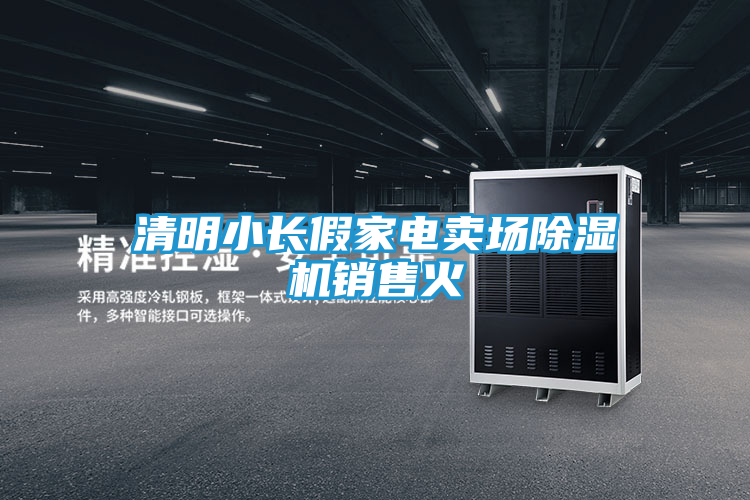清明小长假家电卖场除湿机销售火