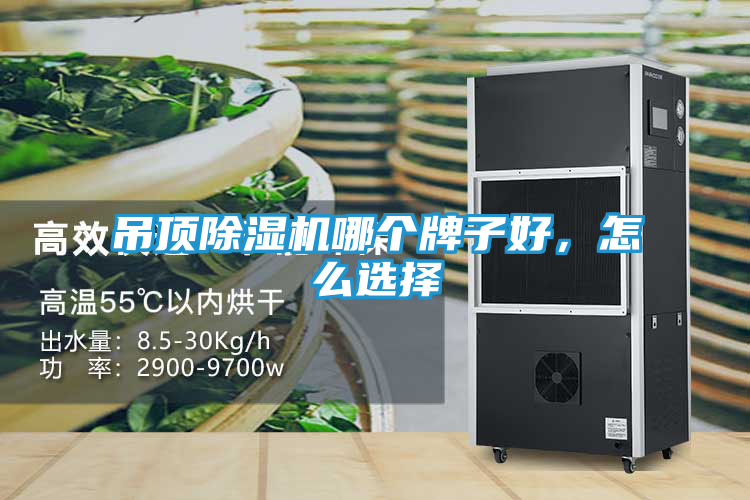 吊顶除湿机哪个牌子好,怎么选择