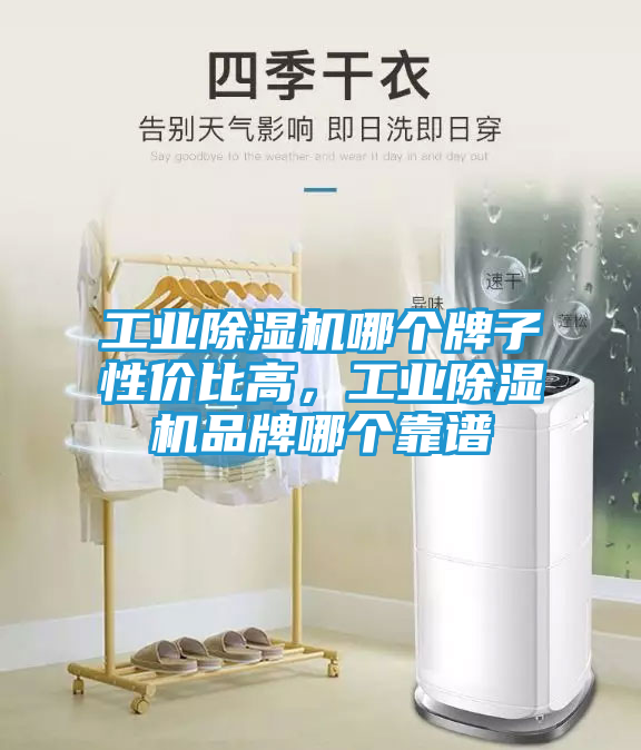工业除湿机哪个牌子性价比高，工业除湿机品牌哪个靠谱