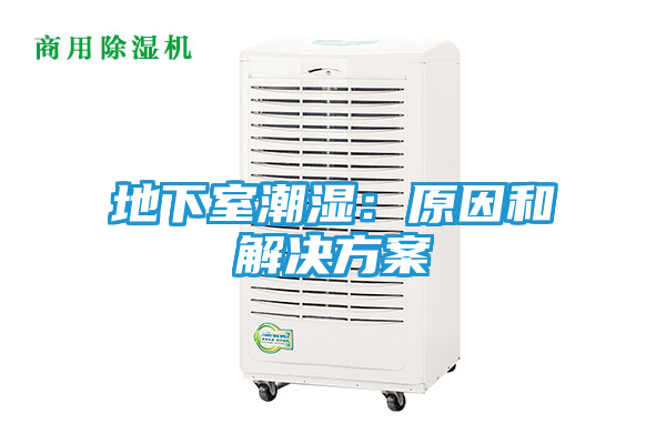 地下室潮湿：原因和解决方案