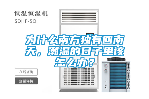 为什么南方独有回南天，潮湿的日子里该怎么办？