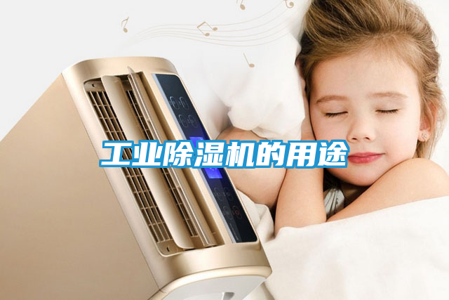 工业除湿机的用途