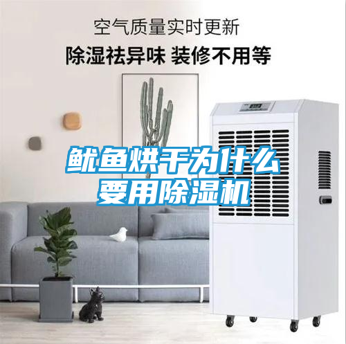 鱿鱼烘干为什么要用除湿机