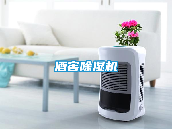 酒窖除湿机