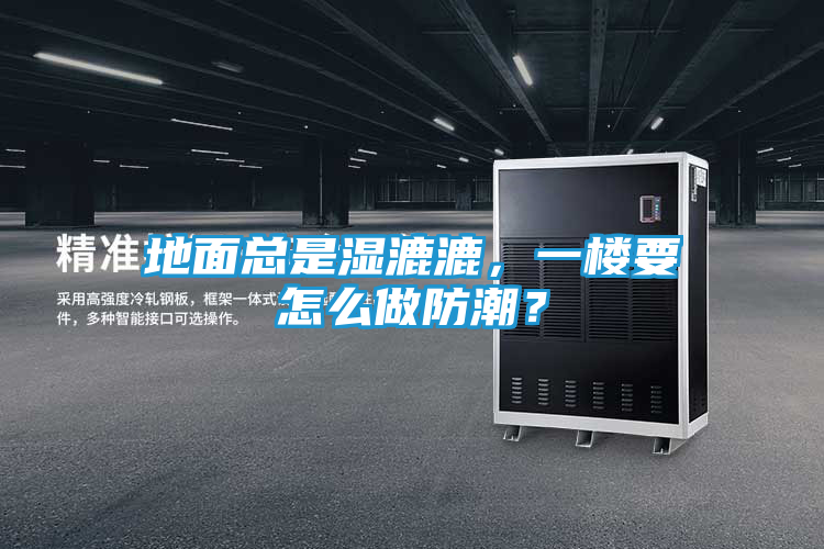 地面总是湿漉漉，一楼要怎么做防潮？