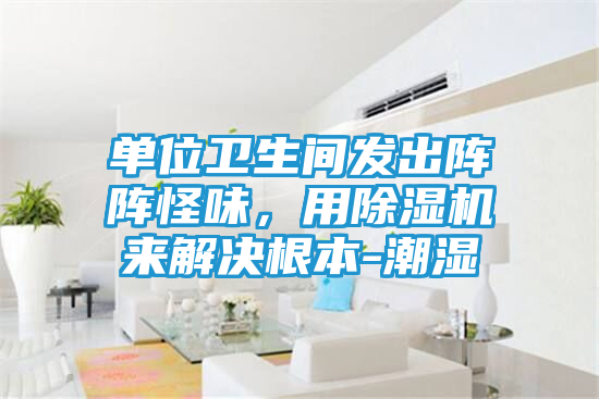 单位卫生间发出阵阵怪味，用除湿机来解决根本-潮湿