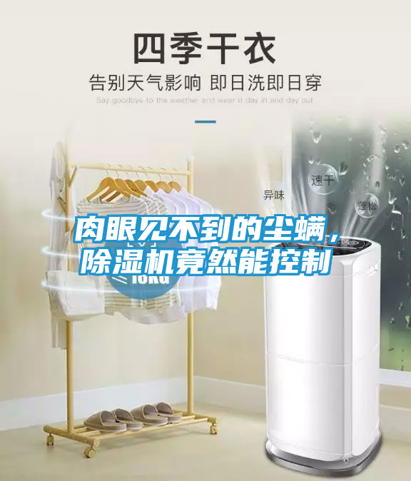 肉眼见不到的尘螨，除湿机竟然能控制