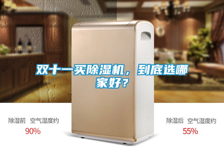 双十一买除湿机，到底选哪家好？