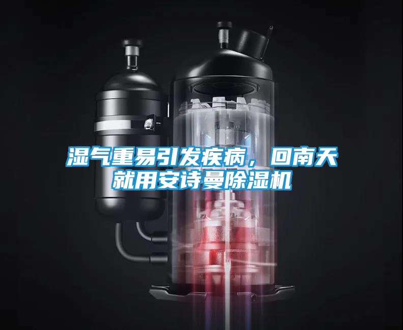 湿气重易引发疾病，回南天就用安诗曼除湿机