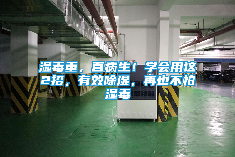湿毒重，百病生！学会用这2招，有效除湿，再也不怕湿毒