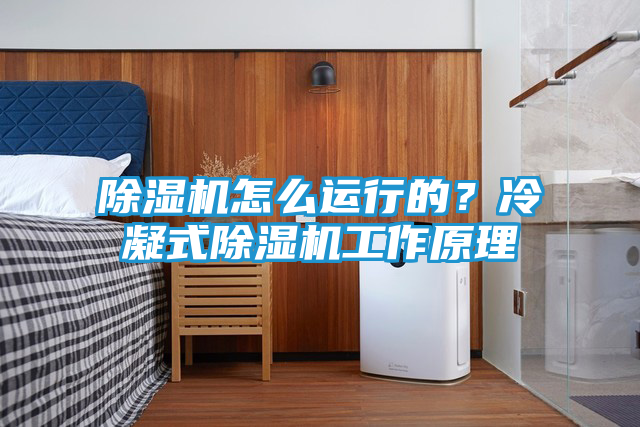 除湿机怎么运行的？冷凝式除湿机工作原理