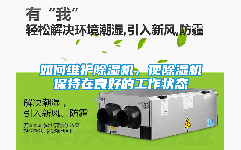如何维护除湿机，使除湿机保持在良好的工作状态