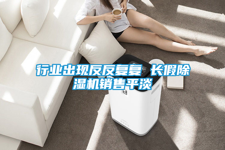 行业出现反反复复 长假除湿机销售平淡
