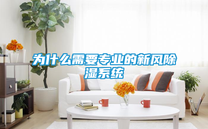 为什么需要专业的新风除湿系统
