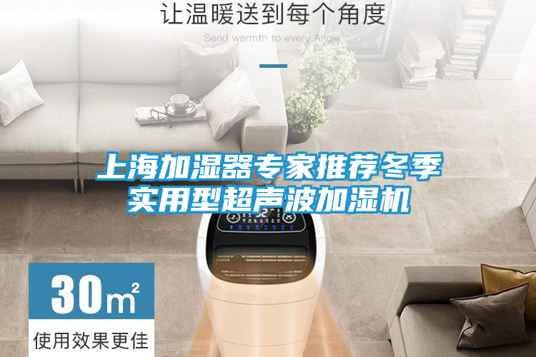 上海加湿器专家推荐冬季实用型超声波加湿机