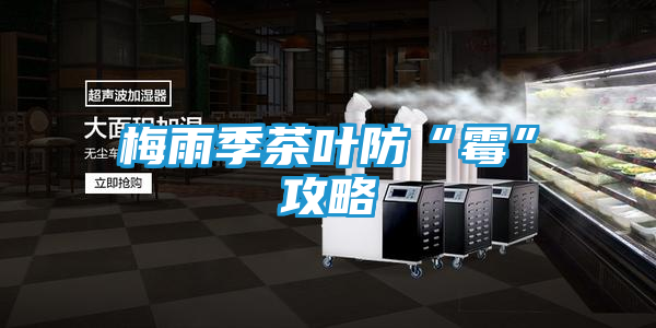 梅雨季茶叶防“霉”攻略