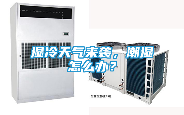湿冷天气来袭，潮湿怎么办？