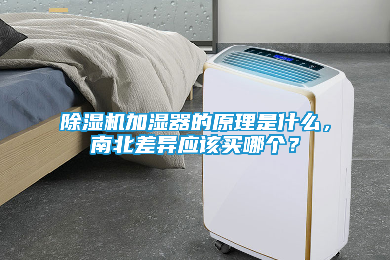 除湿机加湿器的原理是什么，南北差异应该买哪个？