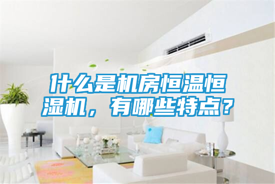 什么是机房恒温恒湿机，有哪些特点？