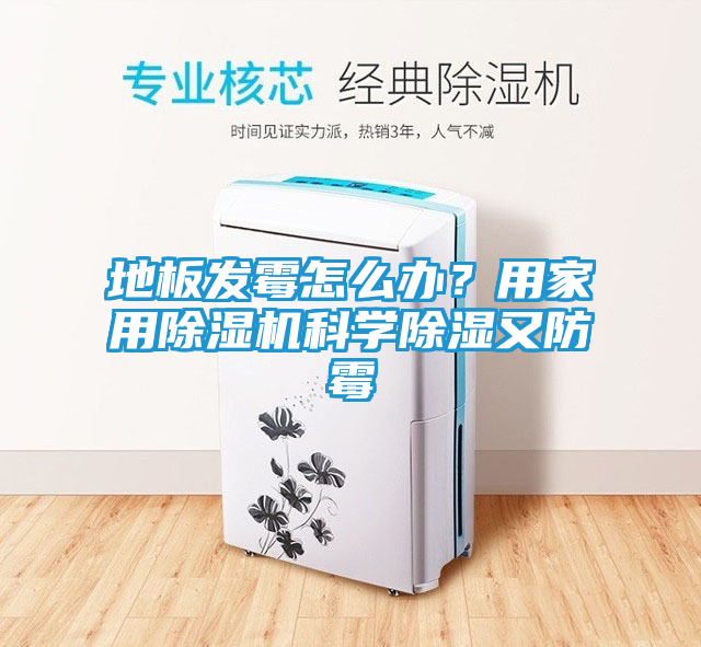 地板发霉怎么办？用家用除湿机科学除湿又防霉
