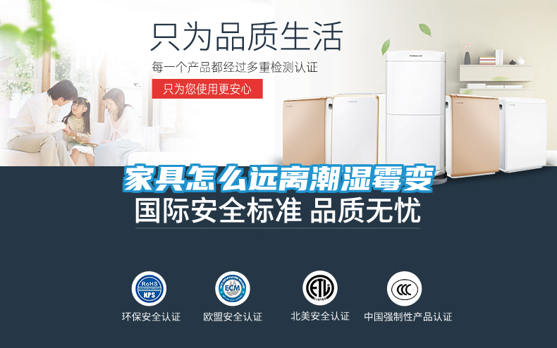 家具怎么远离潮湿霉变