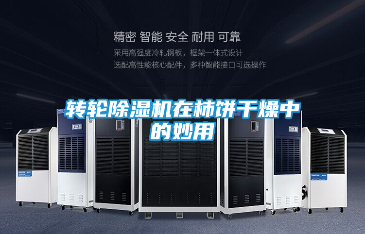 转轮除湿机在柿饼干燥中的妙用
