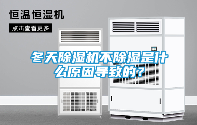 冬天除湿机不除湿是什么原因导致的？