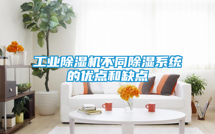 工业除湿机不同除湿系统的优点和缺点
