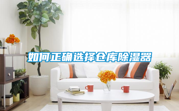 如何正确选择仓库除湿器