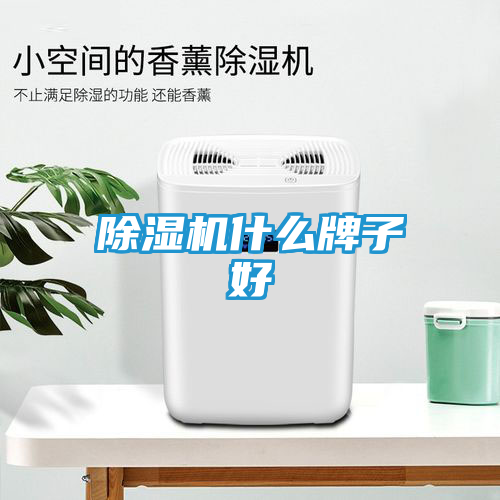 除湿机什么牌子好