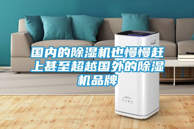 国内的除湿机也慢慢赶上甚至超越国外的除湿机品牌
