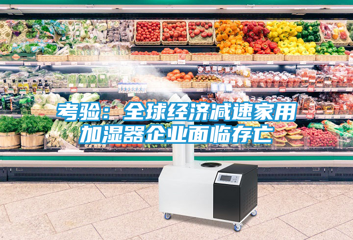 考验：全球经济减速家用加湿器企业面临存亡