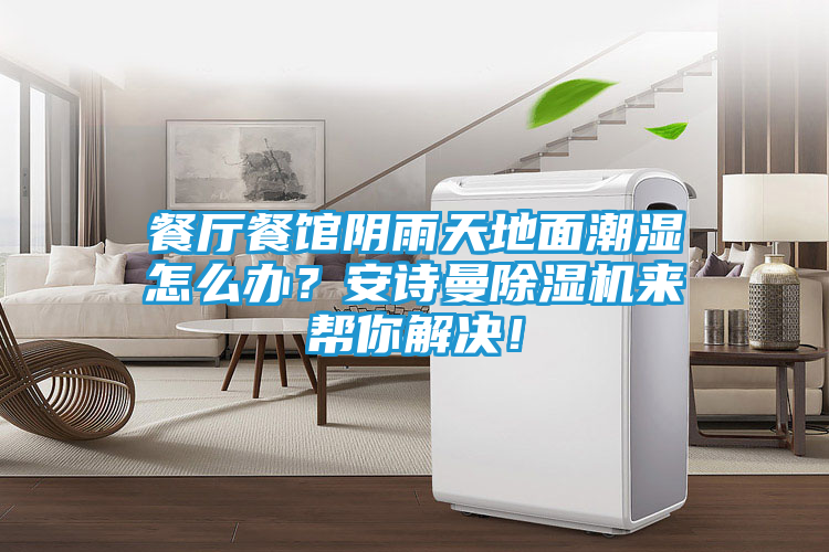 餐厅餐馆阴雨天地面潮湿怎么办？安诗曼除湿机来帮你解决！