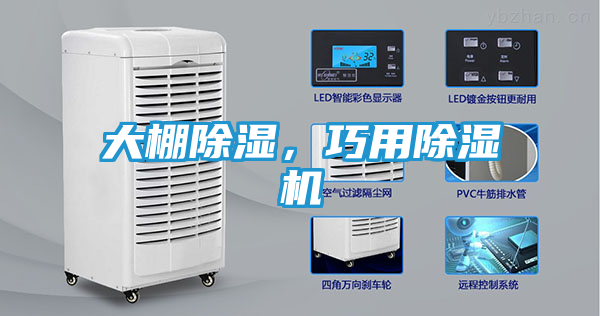 大棚除湿，巧用除湿机
